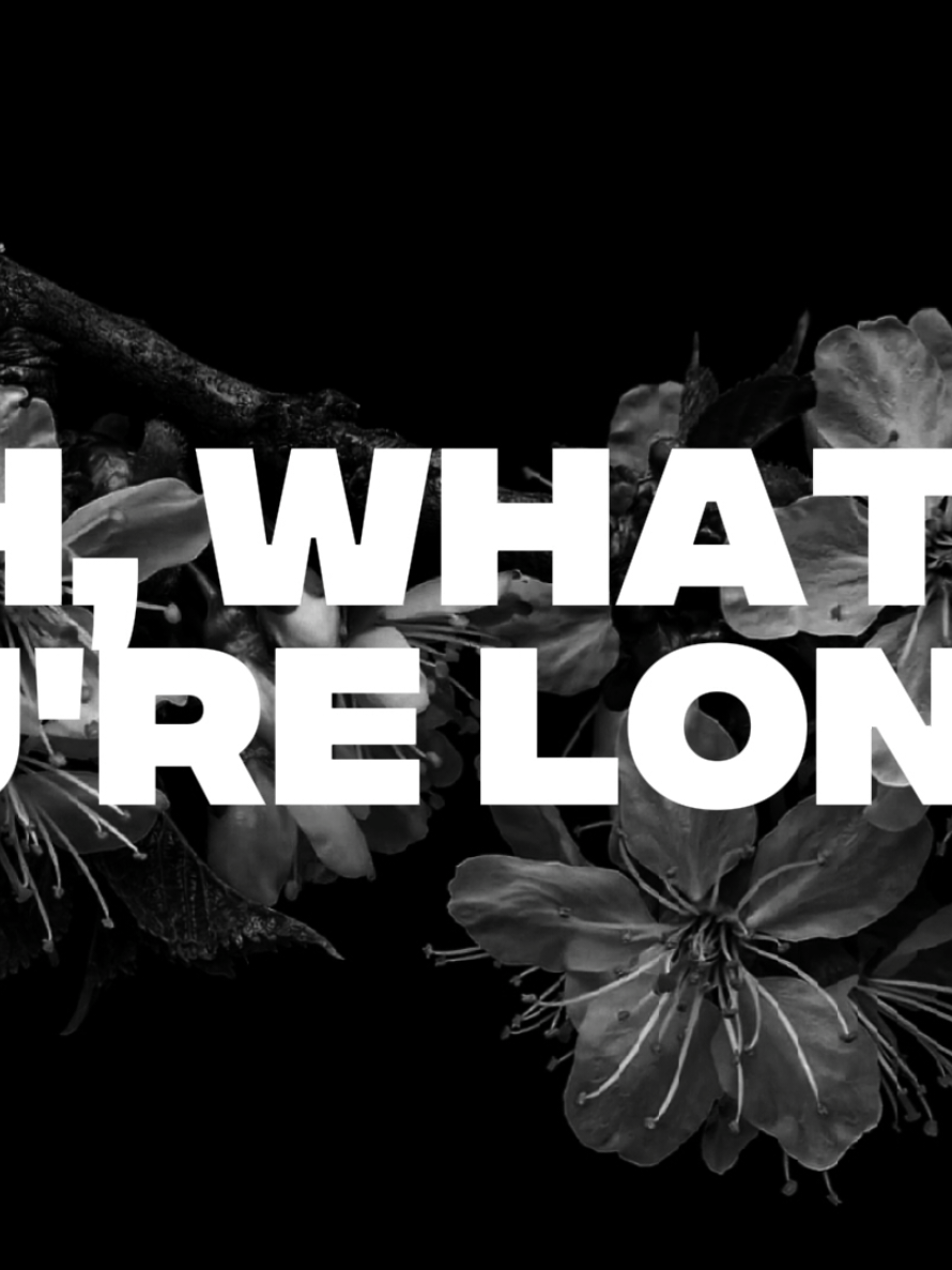 Alex Crichton - What If I Call. (Orchestra Version) #whatificall #alexcrichton #orchestra #fyp #fyppppppppppppppppppppppp 