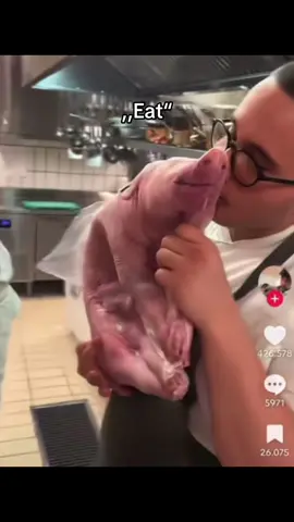 Poor Baby #eat #animals #vegan #veganfood #pig 