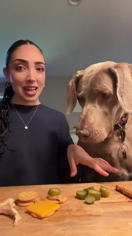 He loved the pickles I’m shocked #fyp #dogsoftiktok #dogs #cutedogs #Foodie 