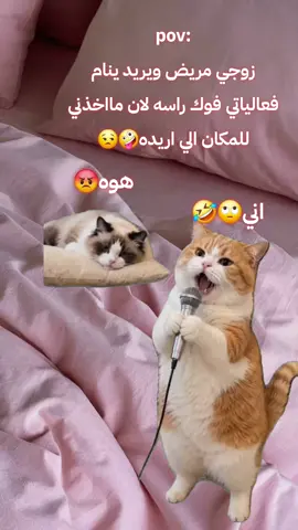 #Meme #MemeCut #CapCut #اعاده_نشر🔁 #الشعب_الصيني_ماله_حل😂😂 
