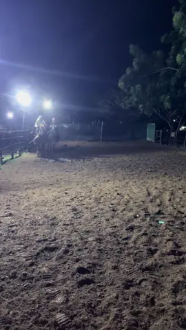 #fyp #caballos #viral #parati 🔥
