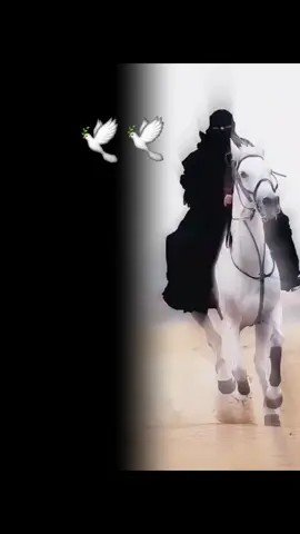حبيبي ديارنا....لو جيت مرها ،، #اكــســبـexplorerــلــــور  #مجرد________ذووووووق🎶🎵  #منوعات_فيديوهات_رائعة💎 💫💔 #عتابات_من_القلب_من_جور_الليالي 
