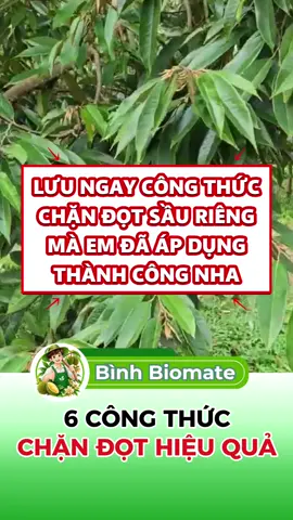 6 công thức chặn đọt hiệu quả, em đã thử và thành công. Bà con lưu lại để sau này cần dùng tới nha🥰 #nongnghiep #kythuattrongsaurieng #phanbon #saurieng #xuhuong 