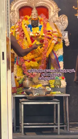முருகா துணை இருந்தால், பயம் எதற்கு?🙏🏻 #murugan #muruganthunai #ipohkallumalaimurugan #fypシ 