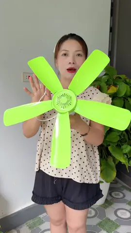 Quạt 5 cánh