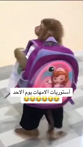 #بكره_دوام #ترند_تيك_توك #الشعب_الصيني_ماله_حل😂😂 #الامهات_اللهم_احفظهم #سامحونا