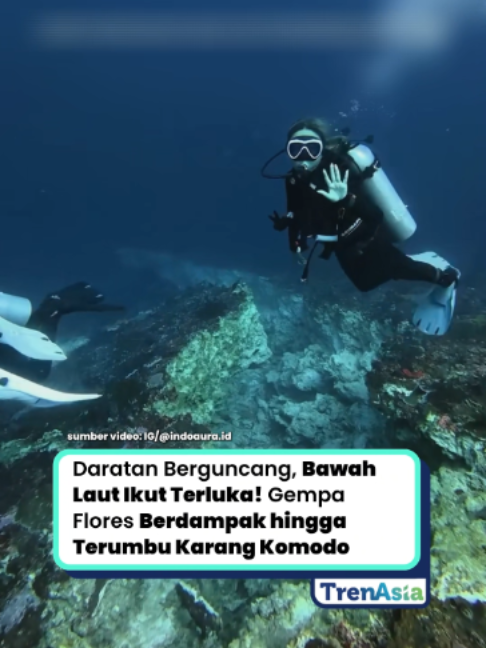 Gempa Flores pada 15 Agustus 2026 disebut tak hanya meninggalkan dampak di daratan. Kondisi bawah laut kawasan Komodo ikut menjadi sorotan setelah video yang diunggah akun Instagram @indoaura.id dan @stefanafro memperlihatkan terumbu karang di Police Corner, salah satu spot diving populer, tampak mengalami retakan dan patahan. Dalam unggahan tersebut, kuatnya guncangan disebut berdampak pada struktur terumbu karang hingga kondisi dasar laut. Bahkan muncul narasi mengenai adanya “patahan baru” di bawah laut Pulau Komodo. Namun, klaim tersebut masih perlu verifikasi lebih lanjut dari lembaga atau ahli terkait untuk memastikan apakah yang terlihat merupakan patahan geologi atau kerusakan fisik pada terumbu dan dasar laut. Terumbu karang yang mengalami kerusakan fisik pun membutuhkan waktu untuk pulih, tergantung tingkat kerusakan dan kondisi lingkungannya. Gimana menurut kalian? #GempaFlores #PulauKomodo #TerumbuKarang #LabuanBajo #Trenasia