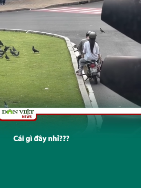 Cái gì đây nhỉ??? #tiktoknews #onhaxemtin #danviet #tiktokdieuky