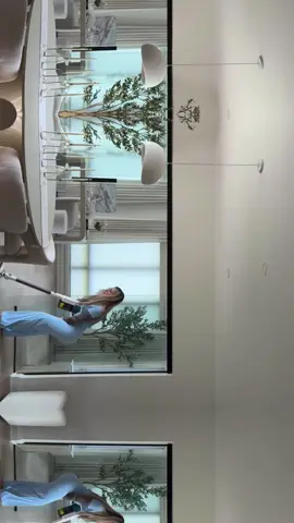 Me 🤝 cleaning my house 