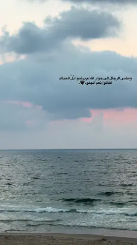 ومضى الرجال الى جوار اللّٰه لم يرضوا ذل الحياة، فكانوا نِعمَ الجنود🖤.#fyp #foryou #tiktok 