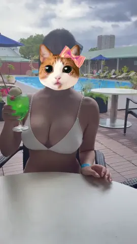 여행