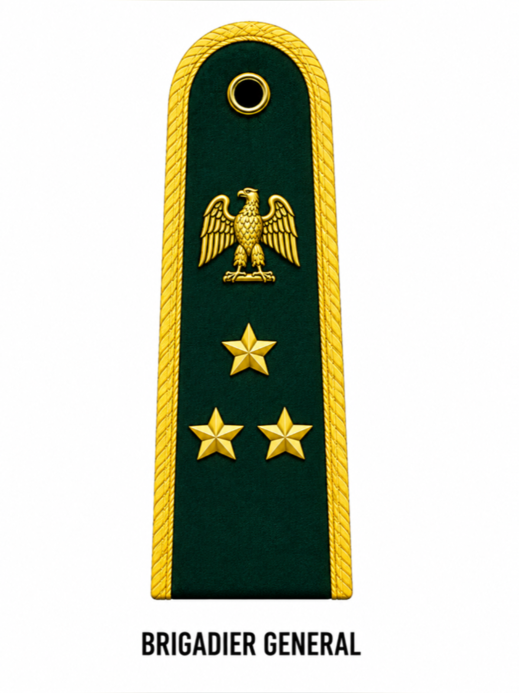 NIGERIAN ARMY NON-COMMISSIONED AND COMMISSIONED OFFICERS RANKS  #nigerianmilitaryfact  #NigerianArmy  #fyp  #NigerianArmedForces 