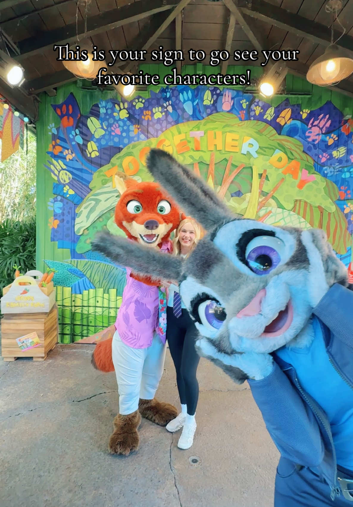 Zootopia is one of my favorite movies!!! #zootopia #disneyworld #dcp 