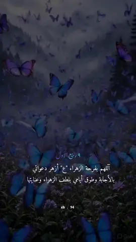 متباركين بفرحة الزهراء 💙💜🩵 #فرحة_الزهراء #تتويج_الإمام_المهدي #يا_زهراء #متباركين_يا_شيعة_؏ـلي🦋💕 #اكسبلورexplore 