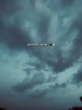 ভালোবাসি অনেক:)🖤🕊️ . . . . . . .#fyp #sadcaption #caption 