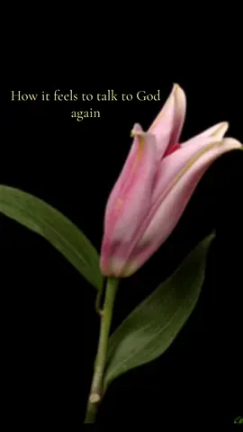 Best feeling ever #God #jesuslovesyou #christian 