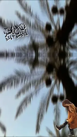 كيف النخل 🌴 ولله الحمد 🤲 #ليبيا_طرابلس_مصر_تونس_المغرب_الخليج🇱🇾❤️🔥 #الشعب_الصيني_ماله_حل😂😂 #creatorsearchinsights #foryoupage #اكسبلور 