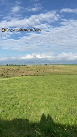 #рек #!