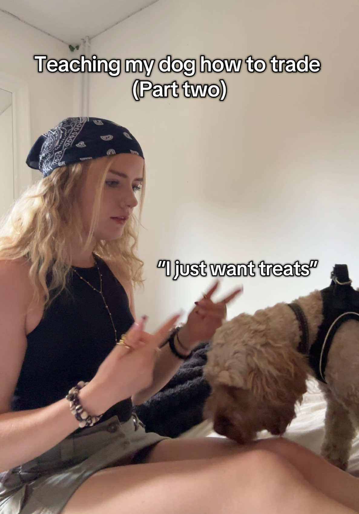 Guys I don’t think he’s a big fan 😭 #daytrader #cockerpoo #femaletrader #trader #dogtok 
