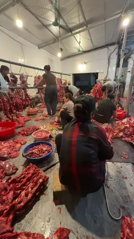 Tháng cô hồn mà vui hơn Tết 