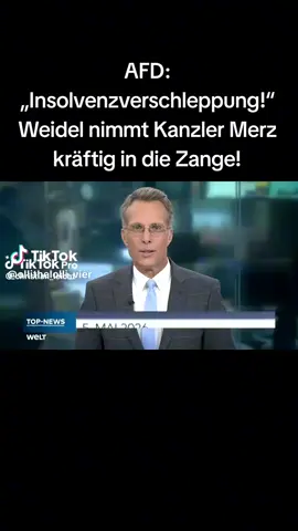 #veränderung #unserlandzuerst💙 #afd #politik #alternative 