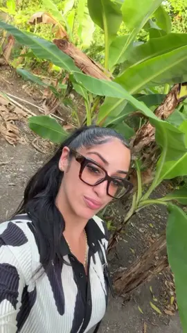 #jamaica 