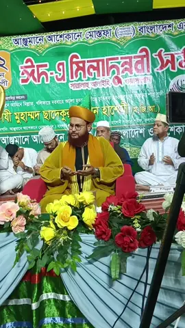 #সকল_ঈদের_সেরা_ঈদে_মিলাদুন্নবী 