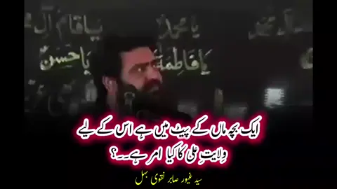 Post 43 || ایک بچہ ماں کے پیٹ میں ہے اس کے لیے ولایتِ علی علیہ السلام کا کیا حکم ہے ۔۔؟ زاکر سید غیور صابر نقوی بہل  #viral #fyp #like?share?comment?follow?🥰🙏😘  #shia 