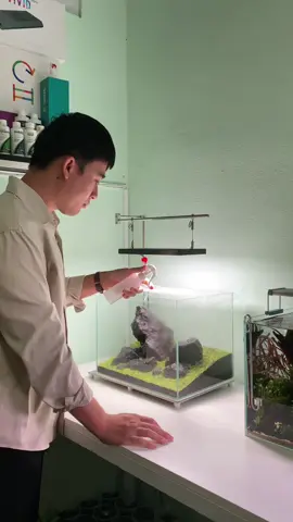 Sau bao ngày chờ đợi, cuối cùng cũng đến ngày hạ thủy bể cỏ giấy này 🌿 1.Các phụ kiện mình sử dụng  - Glass tank size: 40x30x30 cm Hoàng Mây  - Light Stand : TAD Design Ver1.  size 45x30x60  - Filter nano : TAD Design F2300ml - Led light : Chihiros Wrgb 2 normal limeted 10th size 30cm - Skimmer nano : Wyin aqua  - Co2  2. Hardscape - Stone: Đá cuội đen  3. Plant - Utricularia Graminifolia ( Cỏ Giấy ) 4. Hệ thống nền  - ADA Power sand advance size s  - ADA Amazonia ver 2  - ADA Amazonia Supplement  - ADA Dopping Clear super , Bacter 100 , Tourmaline BC #thuysinh #aquarium #iwagumi #TAD #Tuyenaquatic 