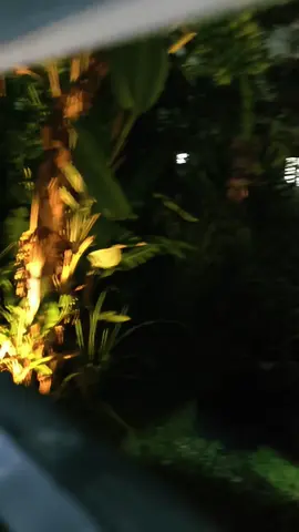 LAMPU LED NIGHT WHITE SOLAR LIGHT. #night #solar #lamp #whitelight #viral 