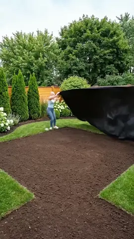 Modern Backyard Transformation Ideas