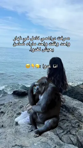 #Meme #MemeCut 