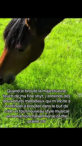 Récit 1|#pourtoiiiii#relateable#humourmasculin#fineshyt