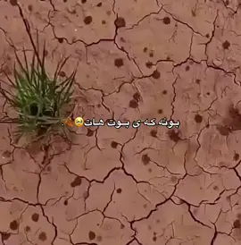 🍂⛈️#foryou #اللهم_صل_وسلم_على_نبينا_محمد 
