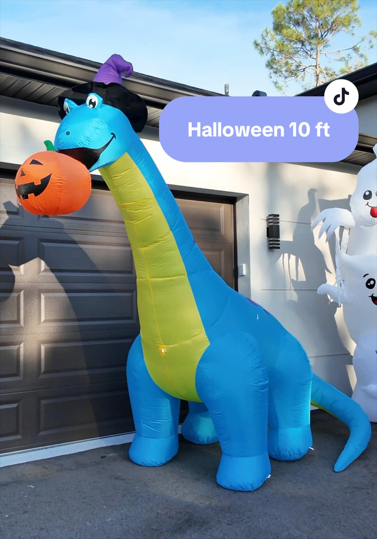 Puedes escogerlo con movimiento #halloween #halloweendecor #decoracionhalloween #TikTokShopFinds #tiktokshopcreatorpicks 