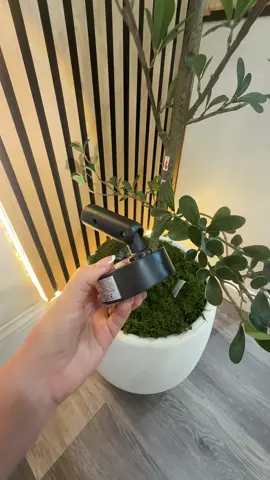 Luz para darle elegancia a tus plantas 🌱 