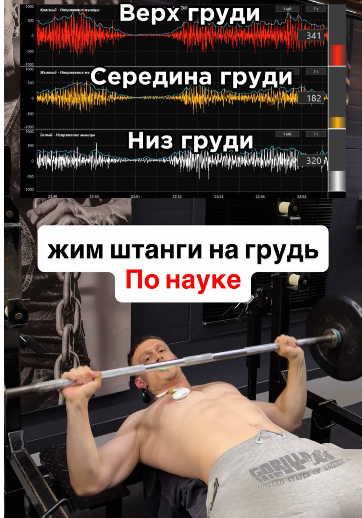 За персональным планом тренировок/питания обращаться в телеграмм:@AlexeyTrainerr🤝