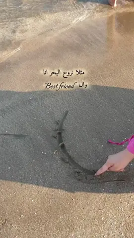 💕 #اكسبلور #بحر #الشعب_الصيني_ماله_حل😂😂 #ترند #صديقتي 