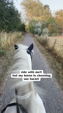 this was a fun hack i enjoyed it!! #horsegirl #fyp #equestrian #horseriding #foryoupage 