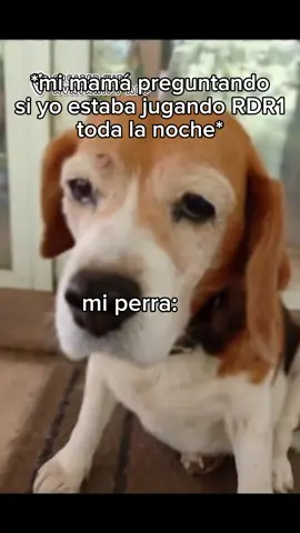#rdr1 #memes #fyp #viral #apoyo 
