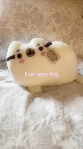 sealsheen 🥹🔥 #pusheen #seal #pusheencat #fyp #pusheencollection 