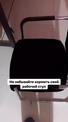 #meme #lovecats #Love #cat #tiktok 