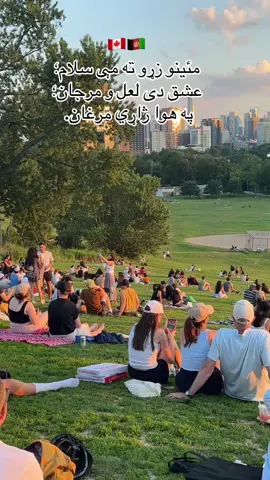 #foryou #JavedAmirkhail #canandalife🇨🇦 