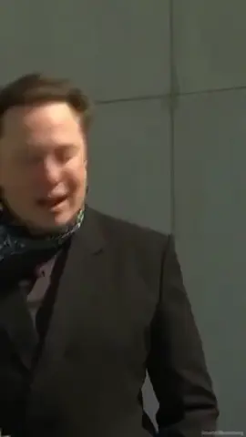 #creatorsearchinsights #elonmusk #elon #elontalking #elonmusknews 