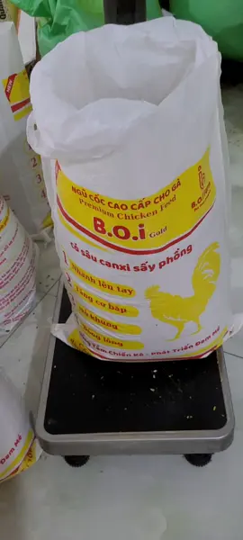 ngủ cốc  cao cấp  túi 11ky có sâu  sấy canxi  #ngucoc #ngucocchoga #ngucocga #ngucocboi 