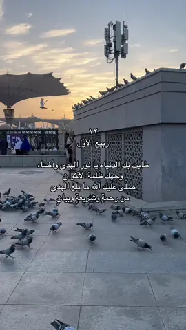 #اللهم_صلي_على_نبينا_محمد #المدينه_المنوره #المولد_النبوي_الشريف #اللهم_صل_وسلم_على_نبينا_محمد 