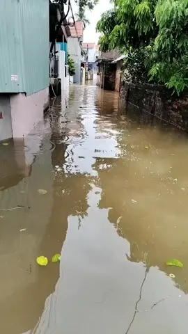 nước ngập hết rồi, đường cũng hoá thành sông , khổ thân vùng quê năm nào cũng ngập