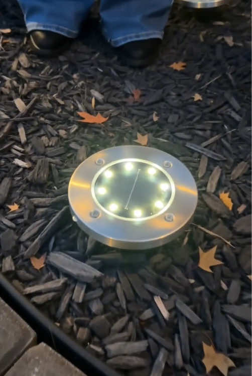Solar-powered garden lights. Perfect for gardens or for illuminating paths and walkways in your yard. As always, Hoodink offers top-notch quality. Check out this product and some of their other offerings. ☀️🏠^#WeeklyDeal #SolarLights #GardenLights#outdoorlights #TikTokshopbacktoschool