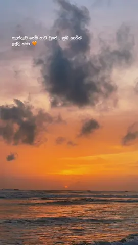 ආකාසේ රන් පාට වෙලා... ඒ ආදරේ හින්ද තමා ✨🌅.                                        #beachvibes ⁠ ⁠#sunset⁠ ⁠#ceylon_tik_tok⁠ ⁠#sinhalasongs⁠ ⁠#srilanka⁠ ⁠⁠