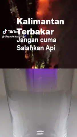Tangisan Hutan Kalimantan & Fitnah Elite Mafia